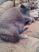 2013-05-12 13-59-02.jpg