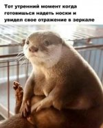 медицинский юмор.jpg
