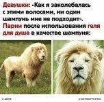 0E7DE8A1-BB8C-40AB-8E4D-D929C553B69C.jpeg