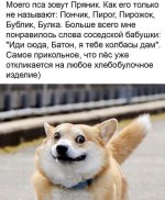 BB93CE76-1255-473B-B683-FB0ED06549B3.jpeg