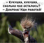 E1C46DB9-4F5C-4119-B82D-FE289F06376A.jpeg