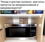 6A03EC1B-0482-4DE8-8424-C4894D9F8474.jpeg