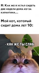 66023774.jpg