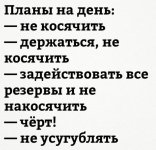 E724A4EA-E0CE-452B-9D4B-8CF44199D732.jpeg