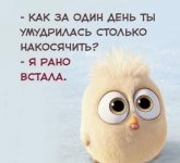 7D5F491A-8F07-4935-AED5-D4C0EE02EAD2.jpeg