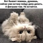 AE095C89-DCC0-4057-9E93-933951D9A16D.jpeg