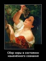 ocr (2).jpeg