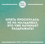 1917FFA8-DD15-443B-A8A8-C23B4BA13052.jpeg