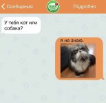 53B2EE7E-6B55-4FA0-8A01-43D10D8A8CB2.jpeg