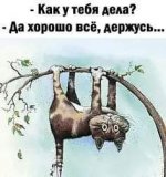 FB_IMG_1637867633389.jpg