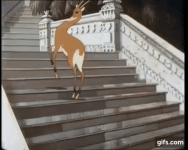 76QLAA.gif