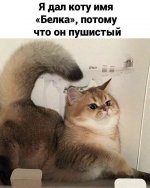 758F4C83-7C4C-4D99-9539-2D4F5AC2185E.jpeg