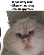 DE4897C5-DC80-42B6-AD99-7D1892629458.jpeg