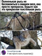 99CF1547-21DF-4001-8D29-C01A0A11D090.jpeg