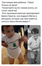 гевин.jpg