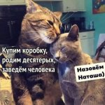 FB_IMG_1640767154756.jpg