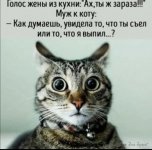 F406787E-A414-40BF-A113-49A43DC69F26.jpeg