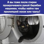 14B0C4AF-9FE6-4F1F-8E59-4617420273BD.jpeg