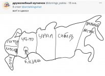 4971E56D-05EE-4D43-AAE9-18381BF262A8.jpeg