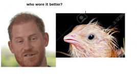 1644011818054.png