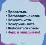 6F49358D-2107-4DE4-8169-BC9A8F8FBB60.jpeg