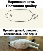 B4D3B2D2-36AB-4208-BD8A-7BF94B4373F0.jpeg