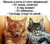 FB_IMG_1644561321676.jpg