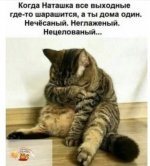 052416B9-F456-41C6-95C6-5E1BB2C687C6.jpeg