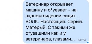 фф.jpg