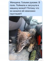ффф.jpg