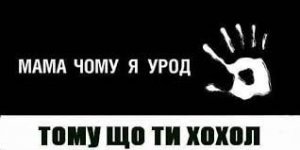 tZjBkBlMhc0.jpg