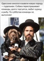 23-33-52-vqFfqXpOcd0.jpg