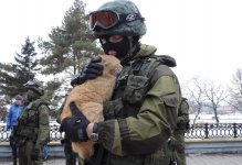 m0zKv24aTpM.jpg