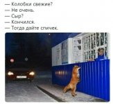ocr (38).jpeg