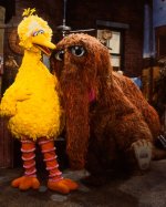 Bird_snuffy_5.jpg