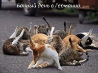 Wx9Jr0DRnXwQtAQeu_ZUO-fH5c9BiwPFN06HebTJgel8sXIwM_P-hOVJE65itvSxCF-uZzbR1WXNv4NehrmZDWet.jpg