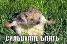 S1wc-DVK1UlFVBXiSwn6YfBGAshVIlA9--GsWxr62p8gND4NhLtIRPkoYbWQh2bFcy66GVXZ9NDssciUTvK918q8.jpg