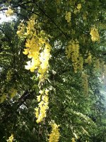 IMG_1066.JPG