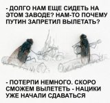 w3zCfFxK_hiBfPLWTKSYzVXh71blWVcs7EP1sj56briXU-UDqJjFQB3e0SOGrR9Dq62gFP0fwUSXQQNtcPSkqfMX.jpg