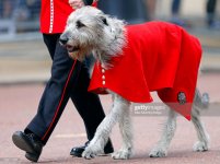 gettyimages-1399777686-2048x2048.jpg
