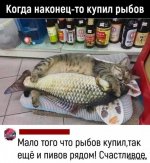 SPJInkexg99yFTBUvvNFT2gCpGNrmGm0AzJUG_XHX754y7716dQdBKY6Hccga3YaYmzIUoke-o3wEEycqcrAq9Rv.jpg