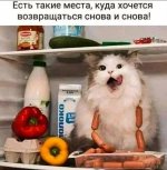 9xqxzs9k6bw-WHjYGgAiGvZZUpU4UGRWQAWus9hGkgxPMHc3-8tbP2ASnzll7I0MsTnSU3HpwPKy2OjcTdqWKIie.jpg