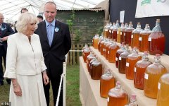 58920173-10904463-The_Duchess_of_Cornwall_at_the_Cornwall_Cider_Championships_stoo-a-249_16548...jpg