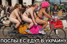 1655224490946.png