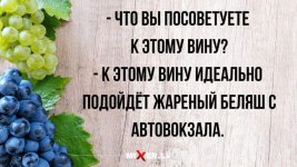 IMG_20220613_221549_431.jpg