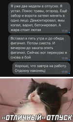 1656083216676.png