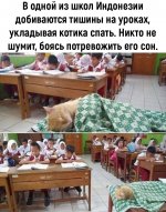 IMG_20220628_030224.jpg