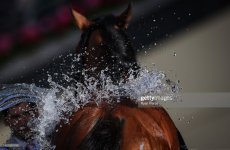 gettyimages-1403322792-2048x2048.jpg