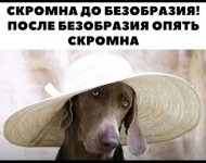 IMG_20220717_093947_632.jpg