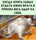 20220722_232408.jpg